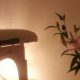 Secret talking salon