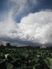 上野公園